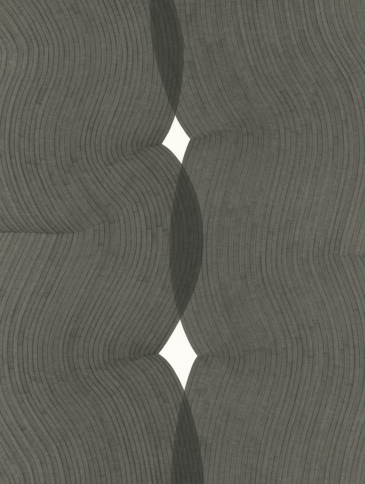 Dana Piazza, Lines 313, 2025