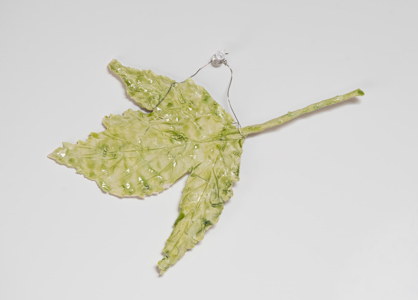 Monica Banks, Hibiscus Leaf, 2025