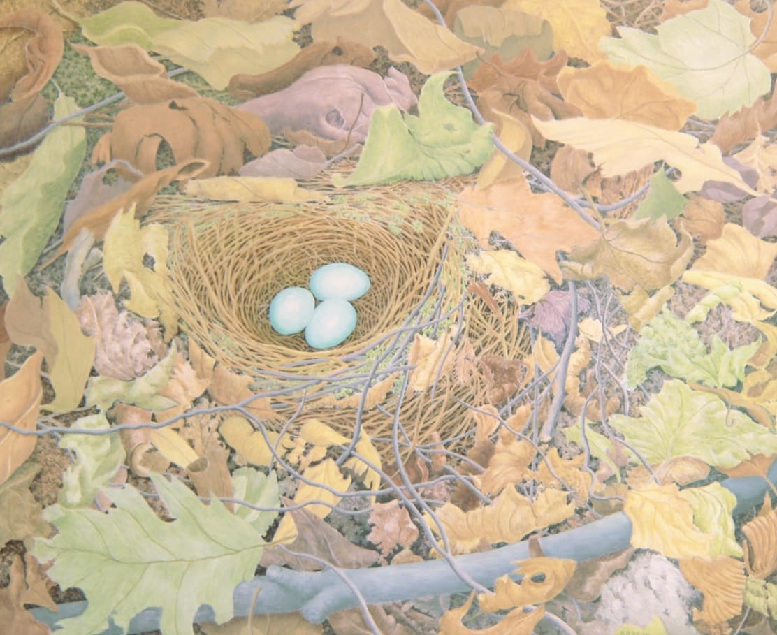 Alan Bray, Hermit Thrush, 2022