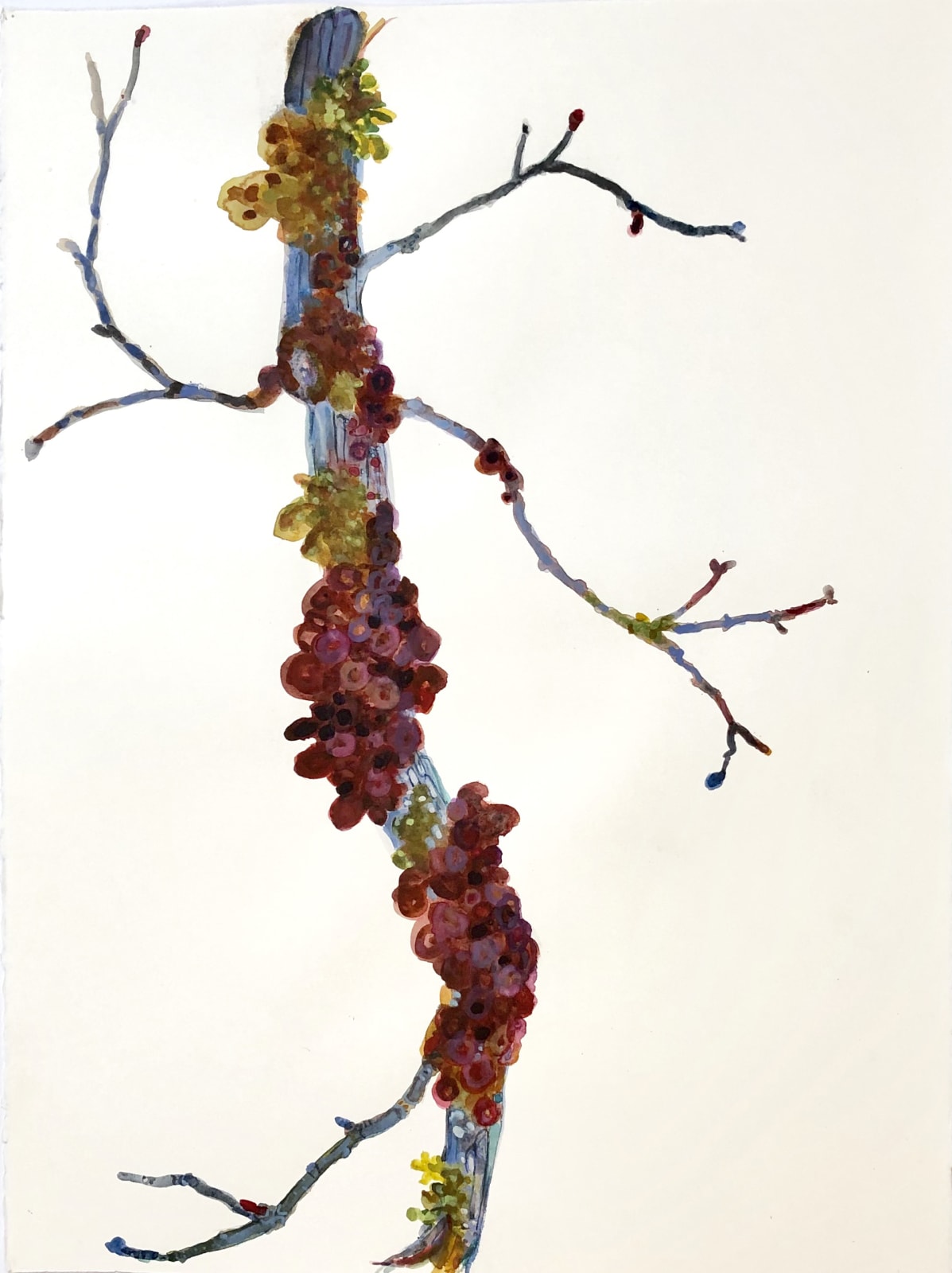 Katie DeGroot, Diva Redux, 2019