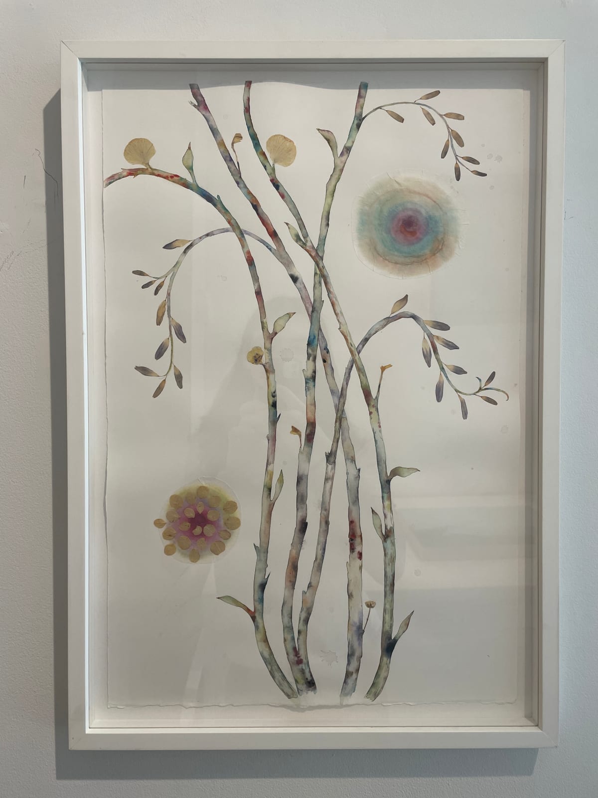 Marilla Palmer, The Cosmic Tree, 2020