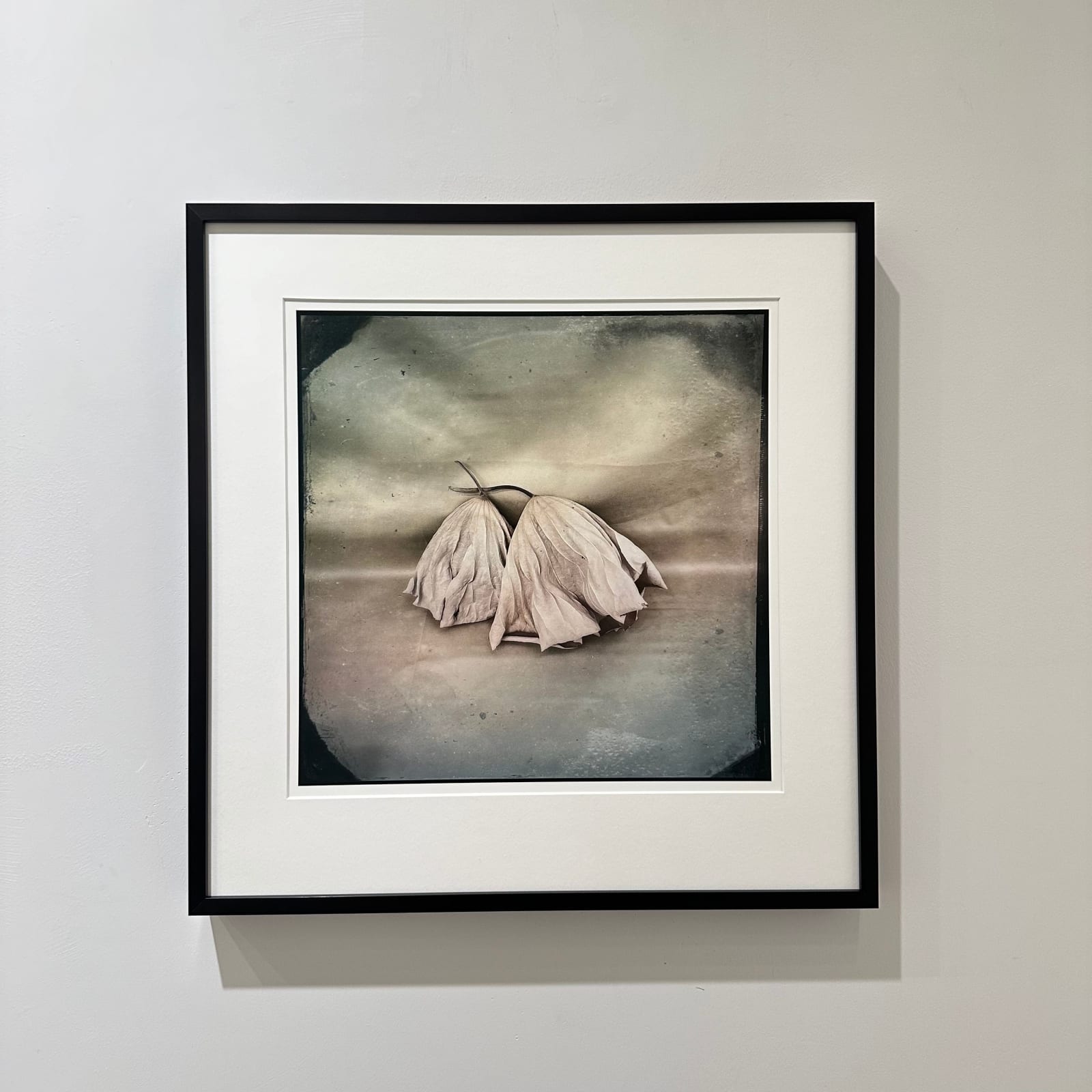 Deborah Dancy, Without 3, 2022