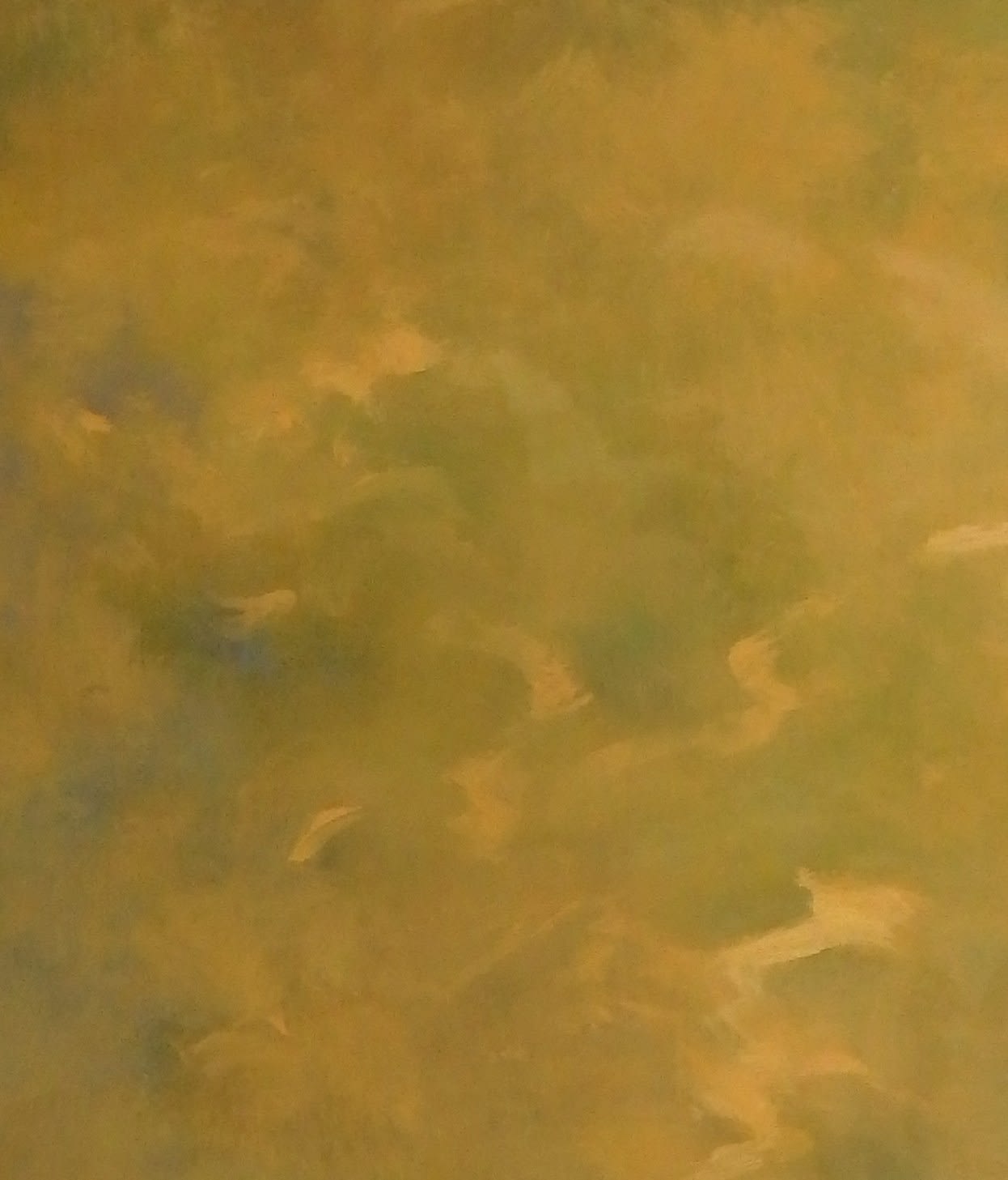 Tamar Zinn, Unseen Voices 46, 2025