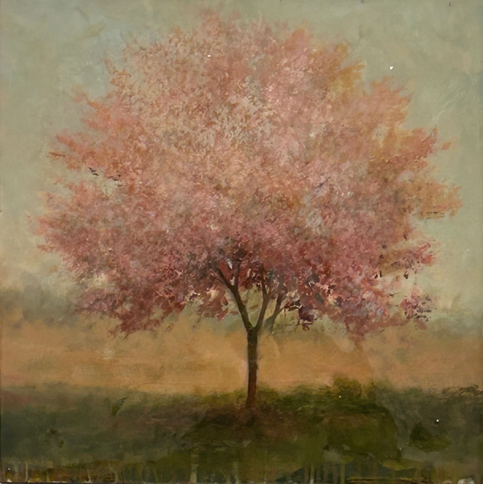 Peter Hoffer, Cotiere, 2024