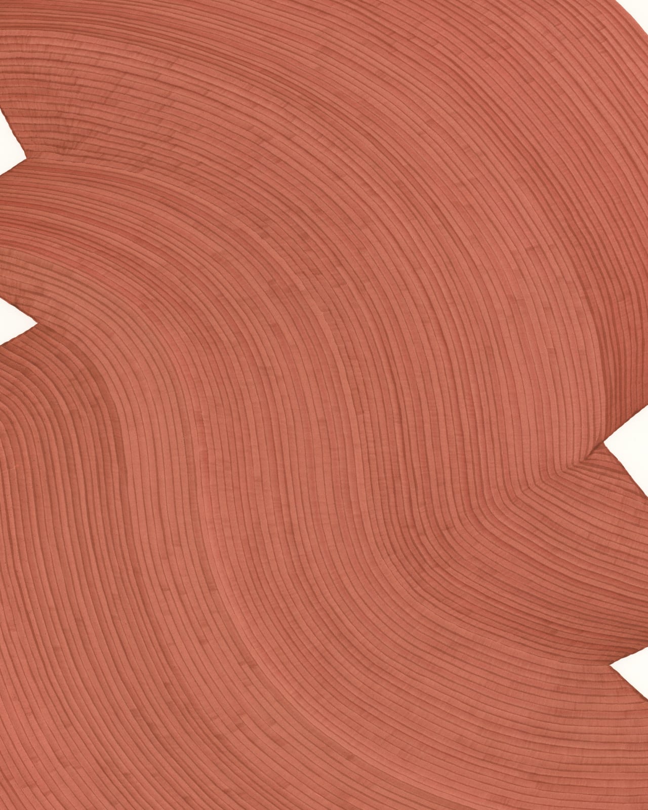 Dana Piazza, Lines 144, 2023