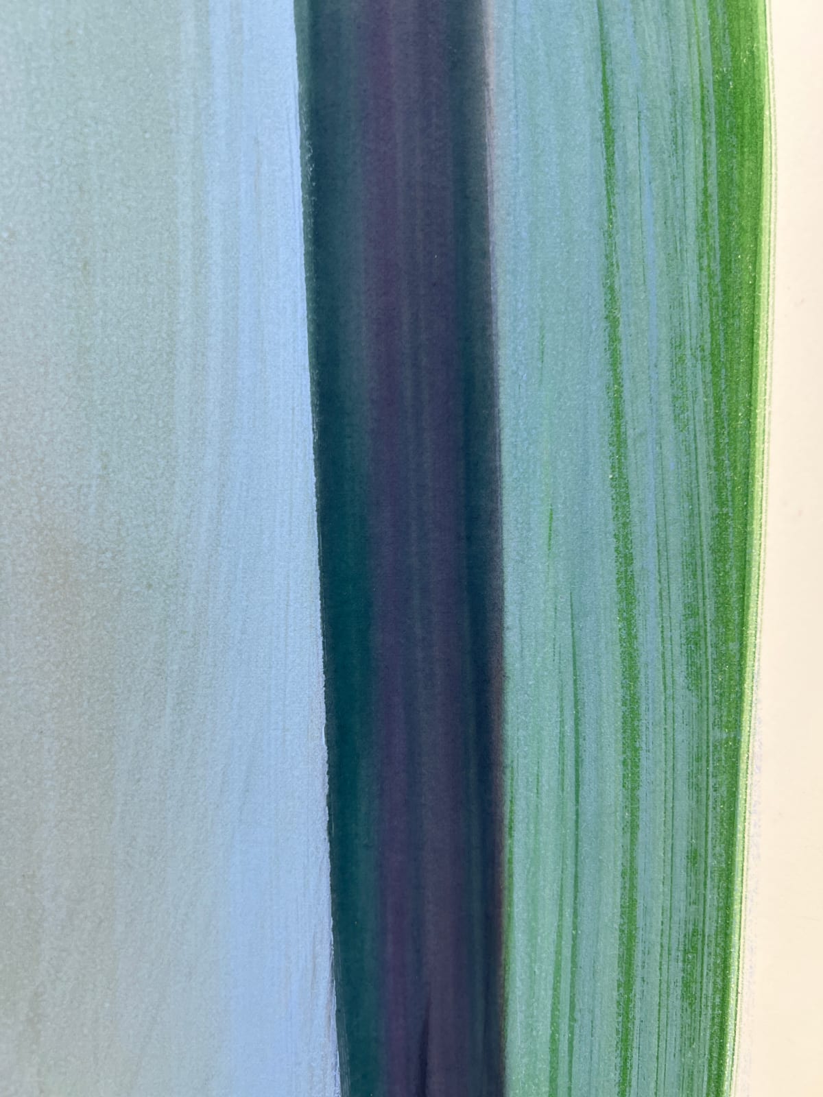 Sarah Hinckley, wander over these days 11, 2024