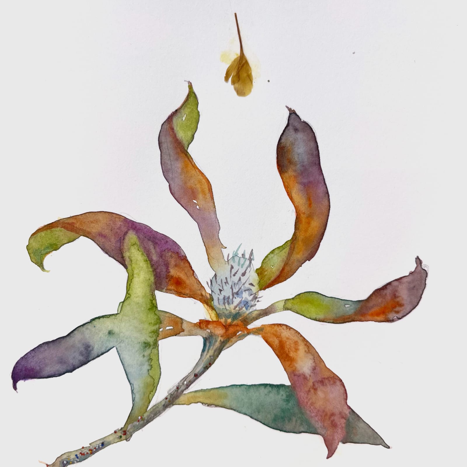 Marilla Palmer, Communicating Flowers, 2022