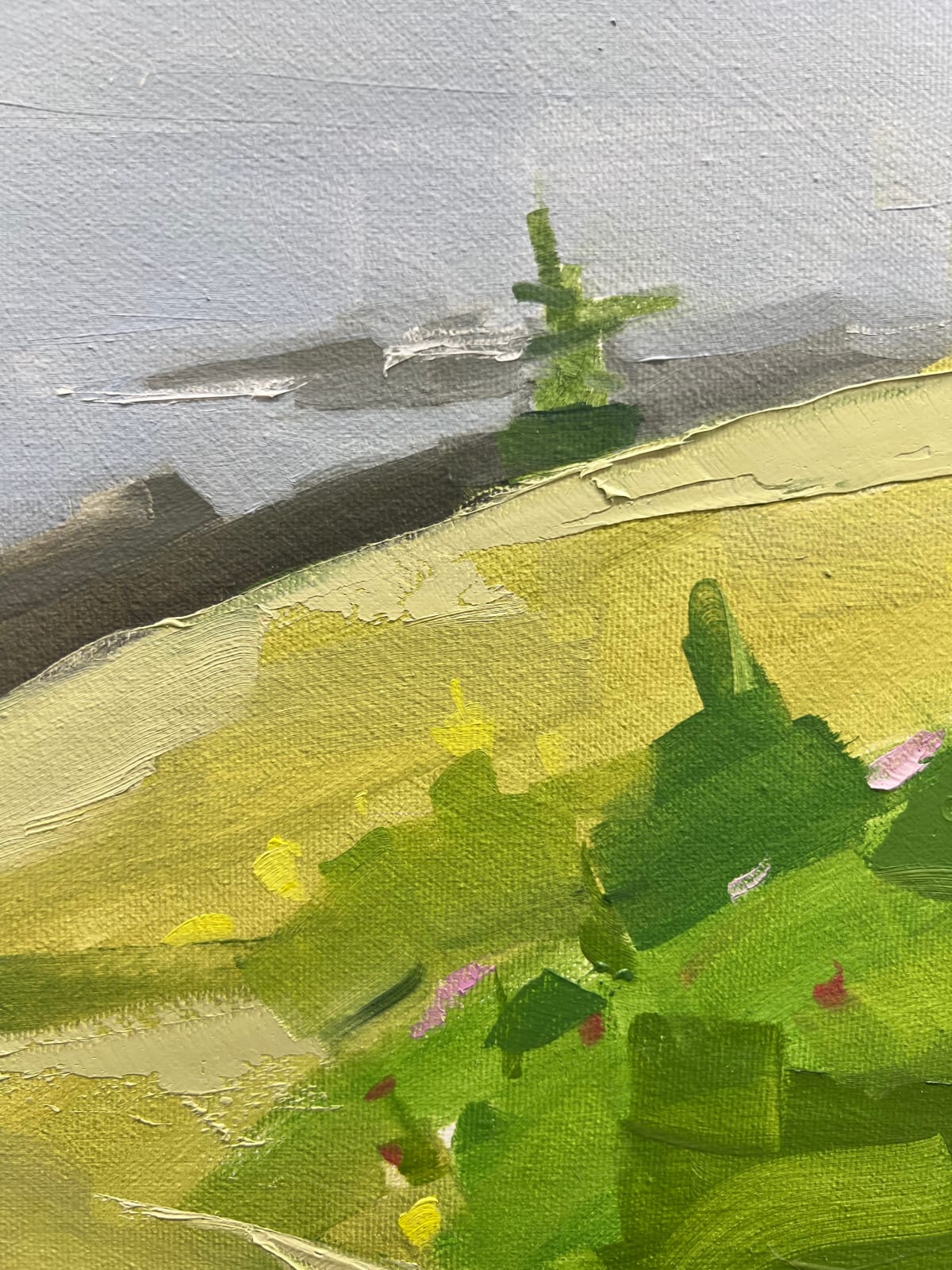 Sara MacCulloch, Pouch cove fog, 2025