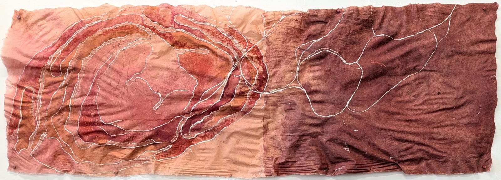 Nancy Cohen, Rose Lines, 2024