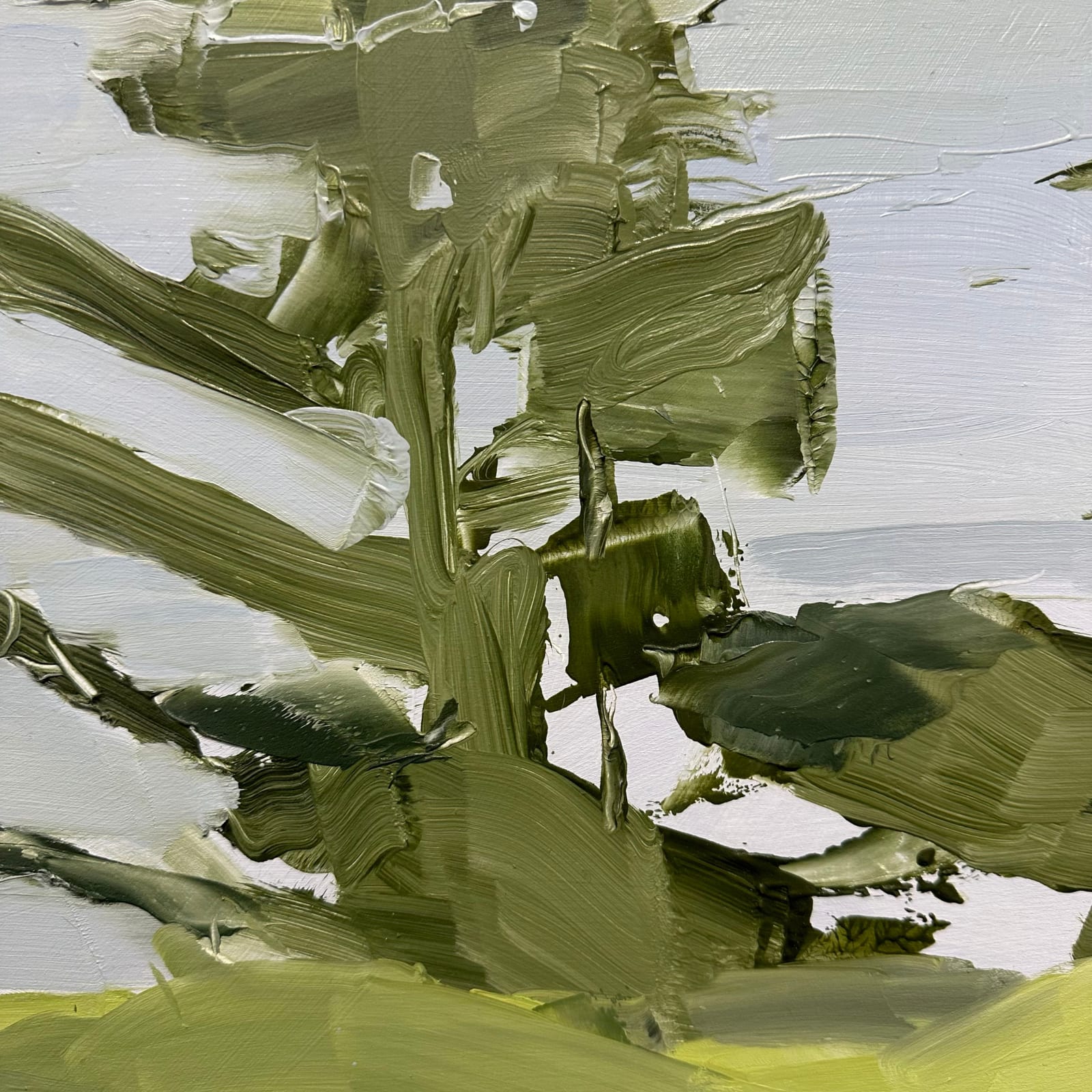 Sara MacCulloch, Great Spruce Head, 2023