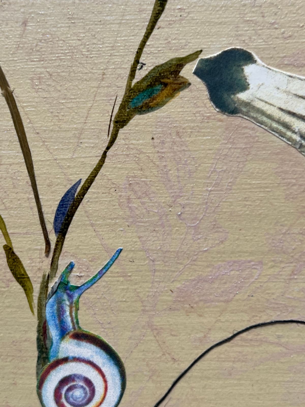 Marilla Palmer, Ethereal Poppy, 2024