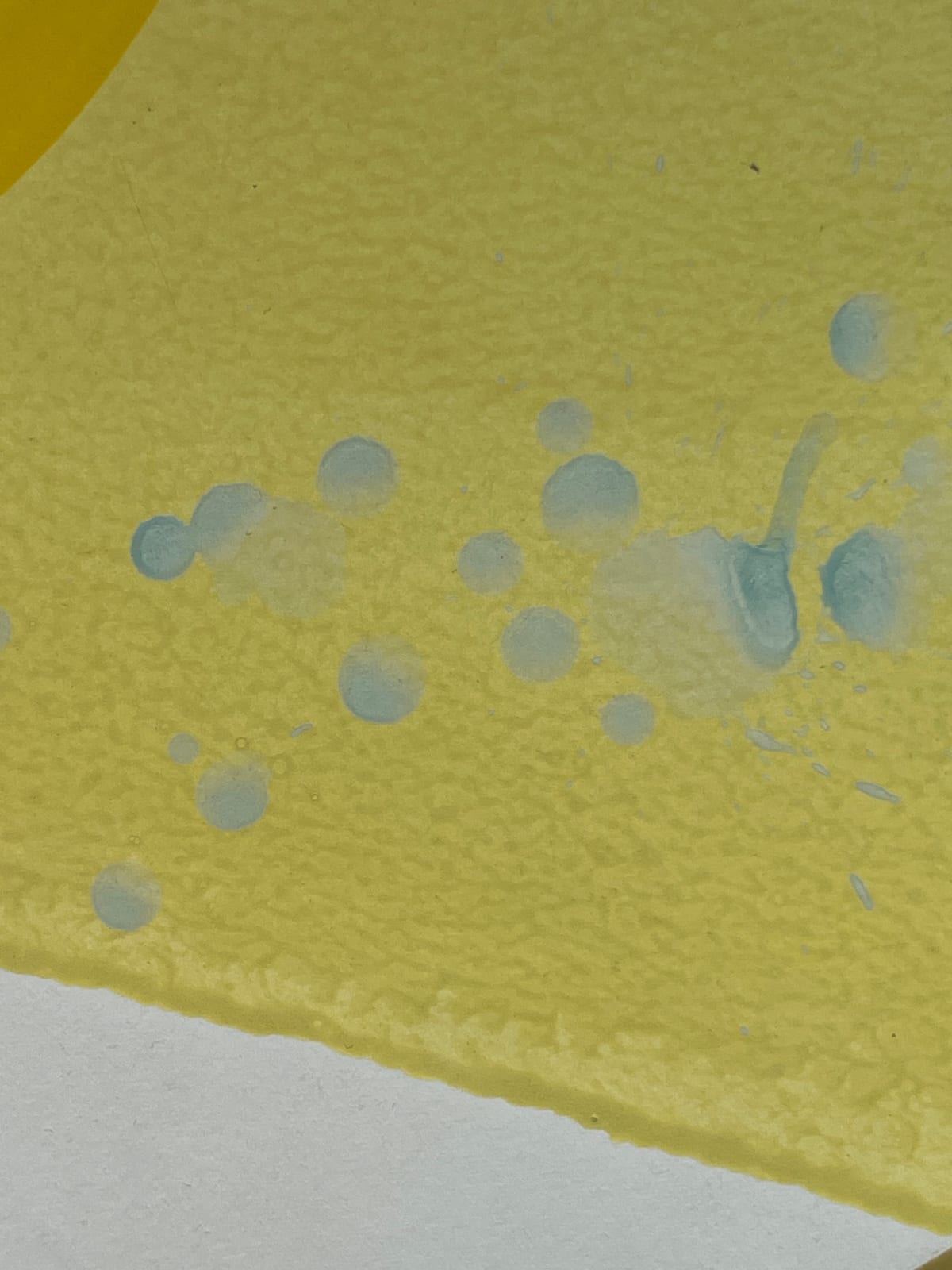 Ky Anderson, Swish, 2024