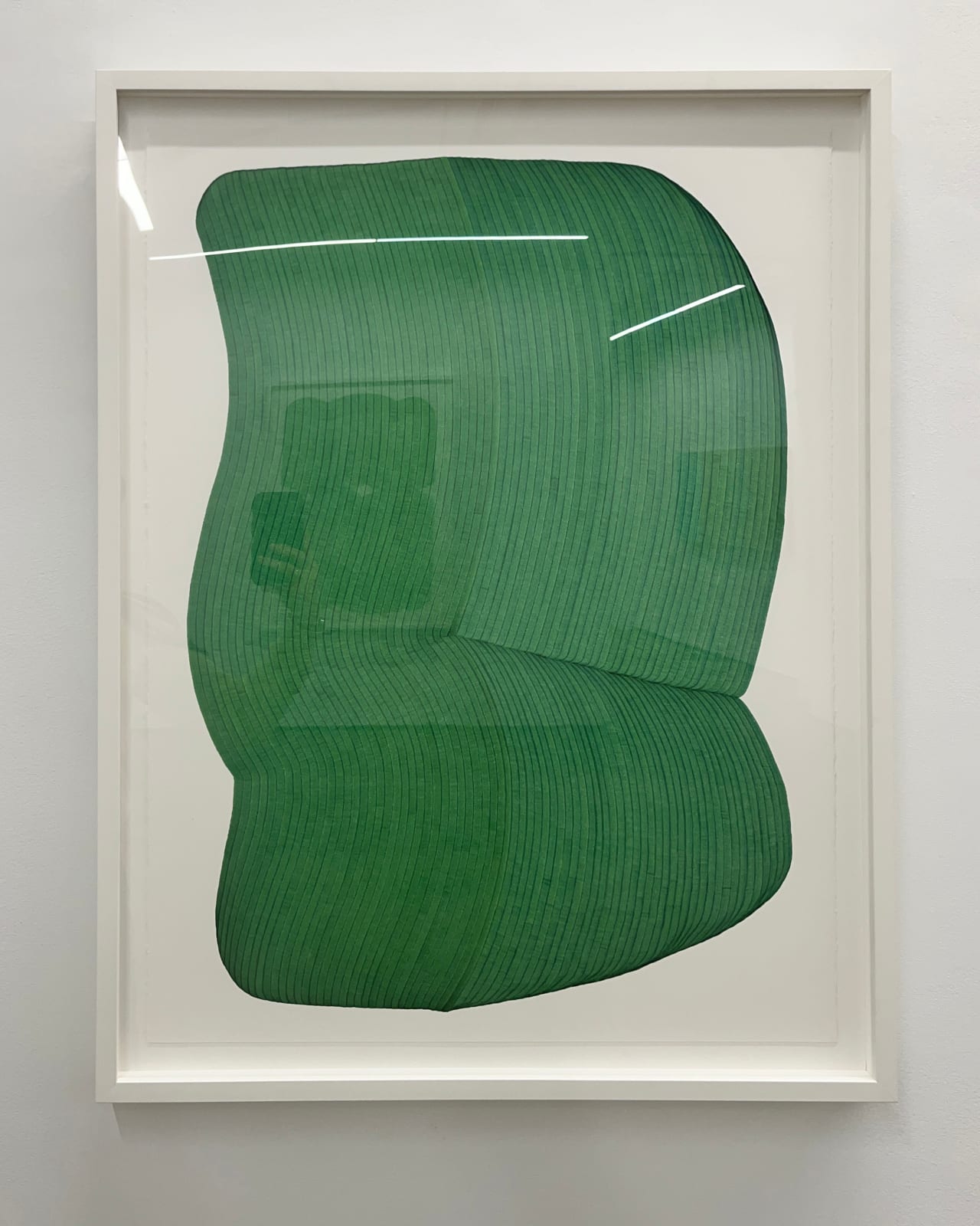 Dana Piazza, Lines 321, 2025