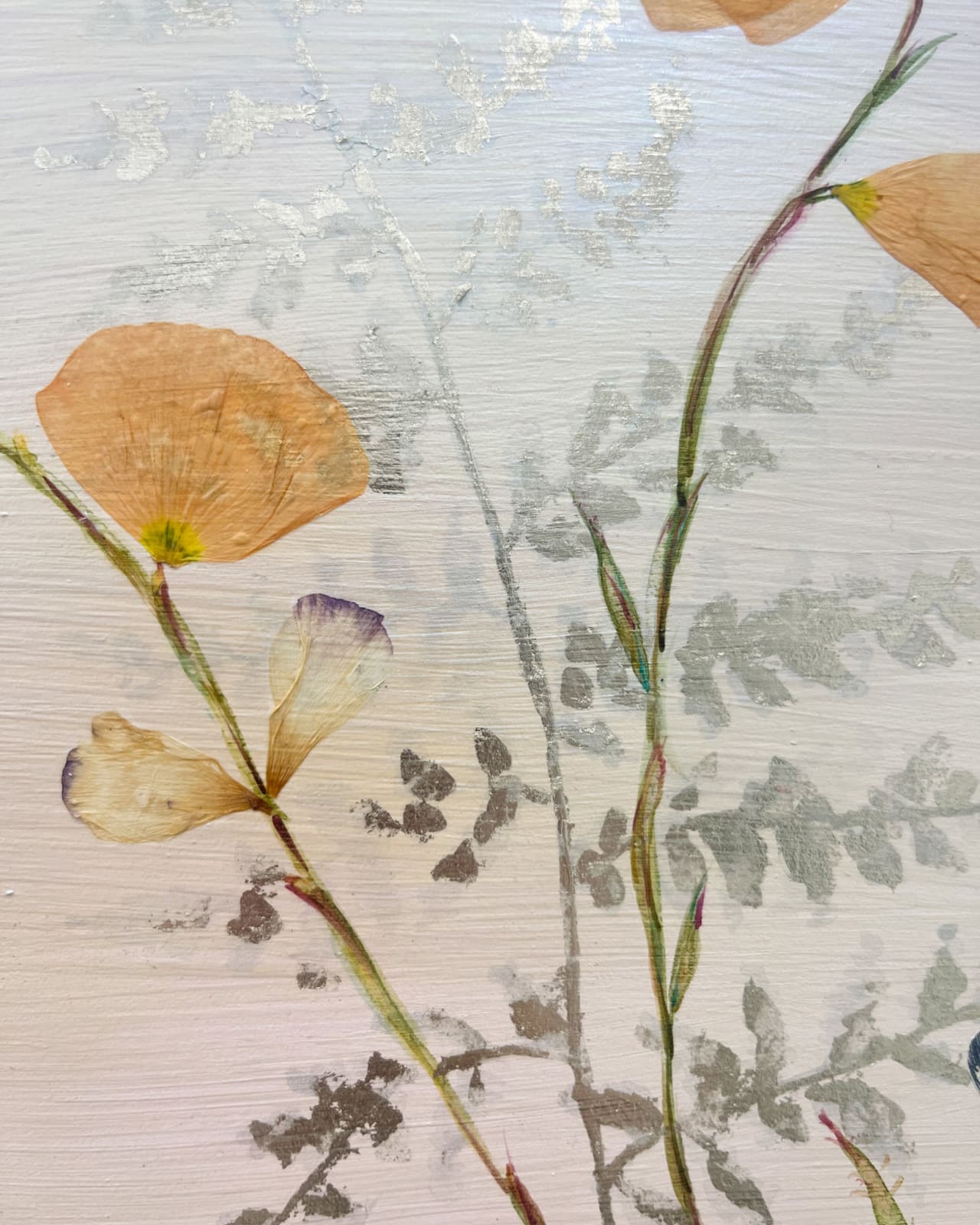 Marilla Palmer, The Impermanence of Light, 2025