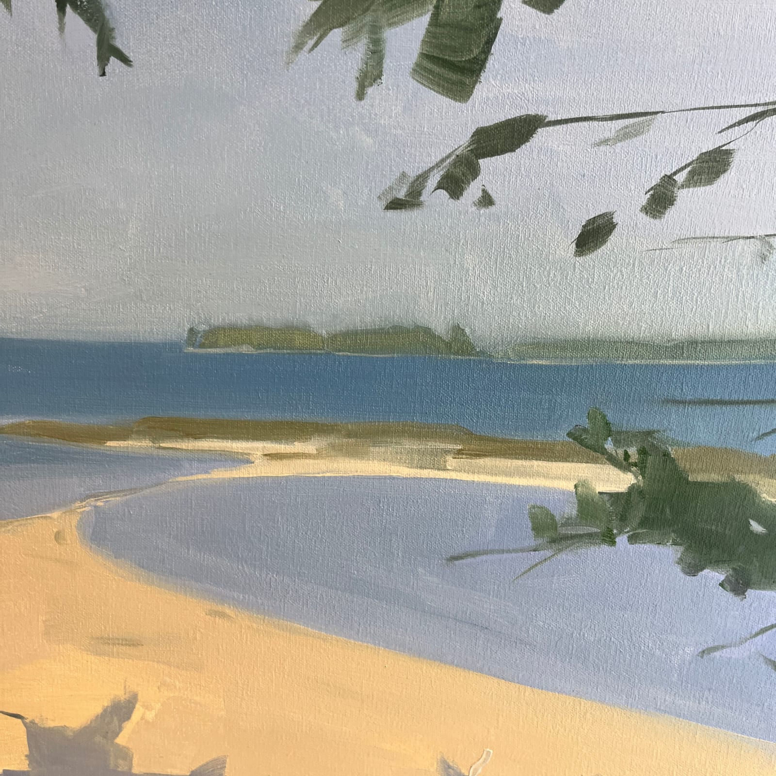 Sara MacCulloch, First day on great spruce (sunny), 2025