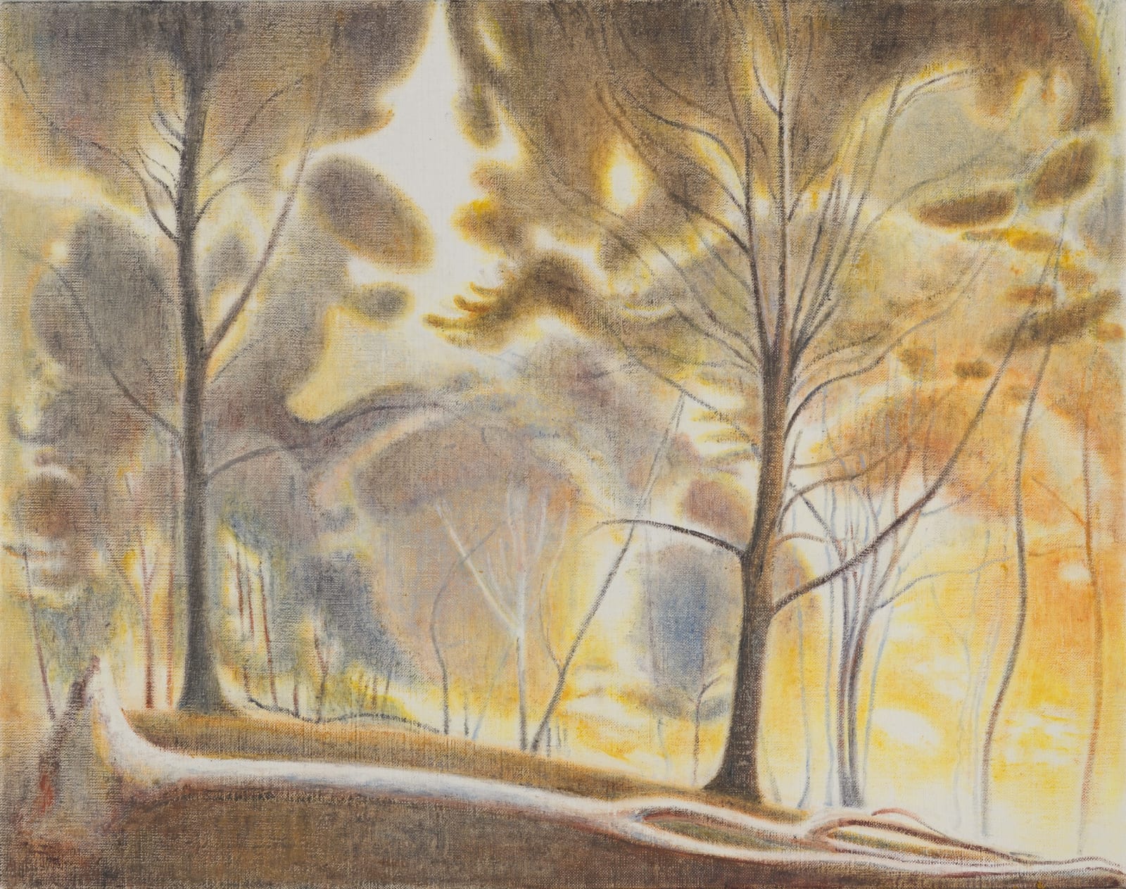 Ron Milewicz, Fall, 2019