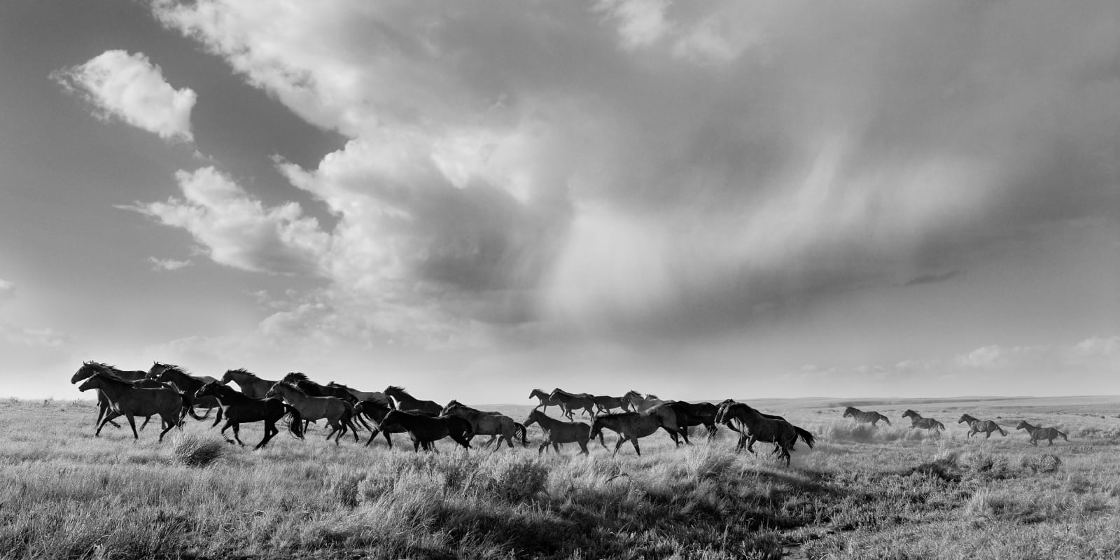 Beau Simmons, The Sound of Thunder, 2024