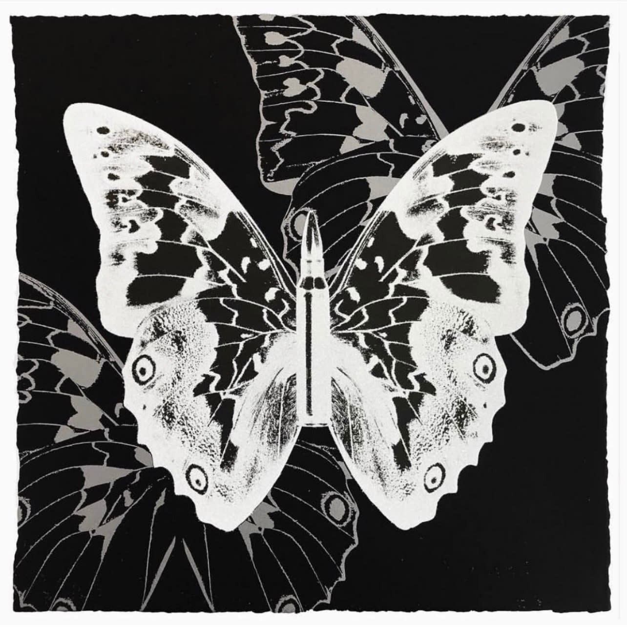 Rubem Robierb, Metamorphosis