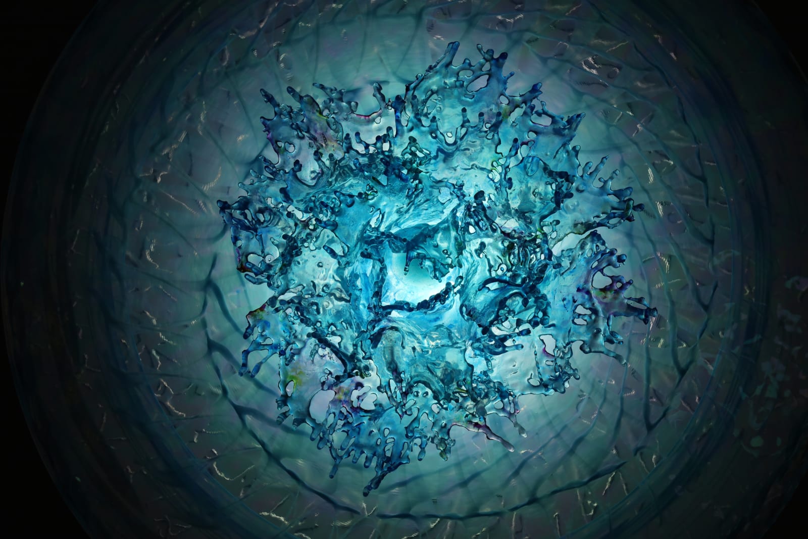 Annalù, Turquoise Lotus LED Light Disc