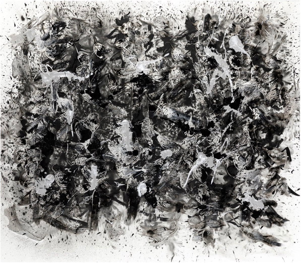 DANHÔO, Les racines du monde, 2019