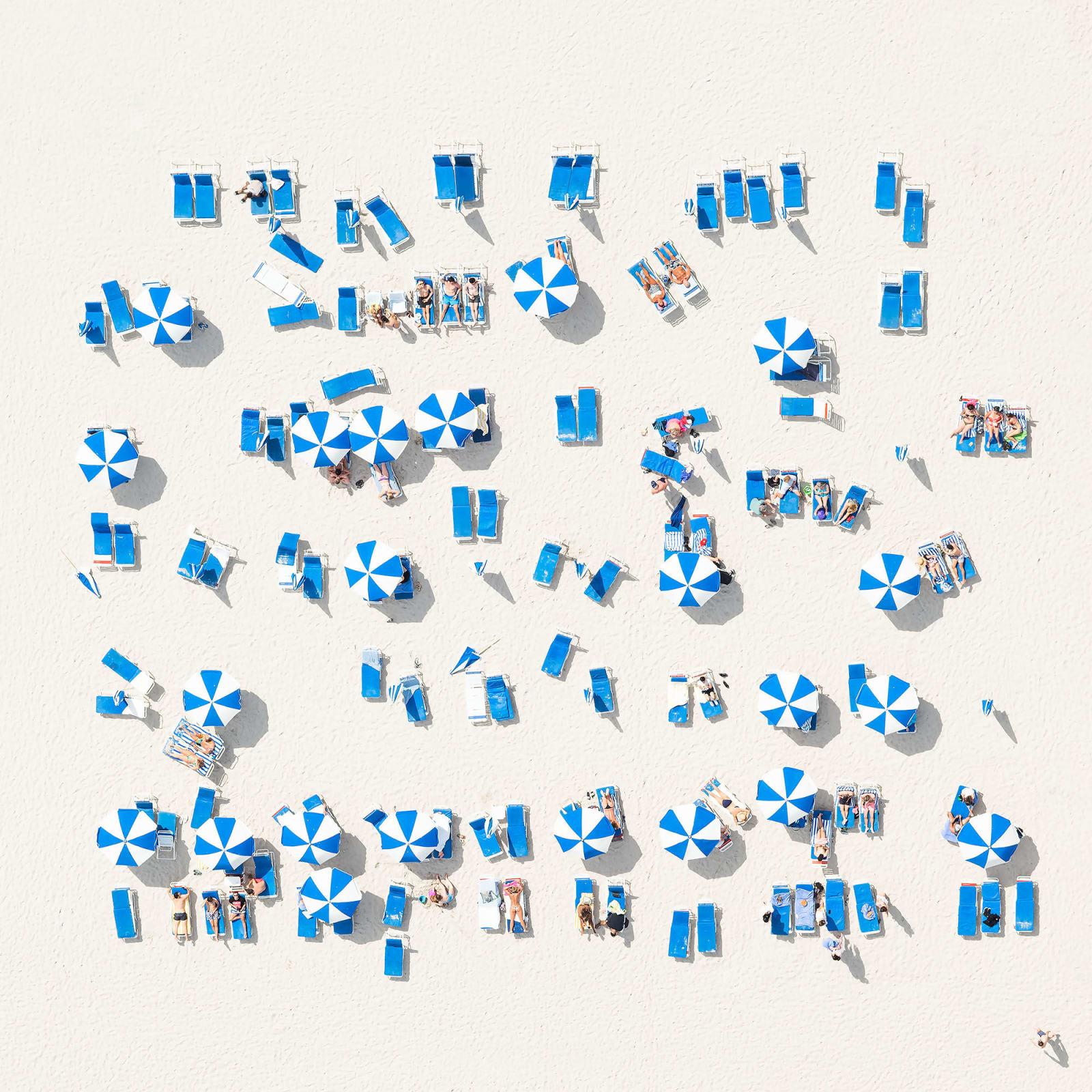 Antoine Rose, Followers, 2019