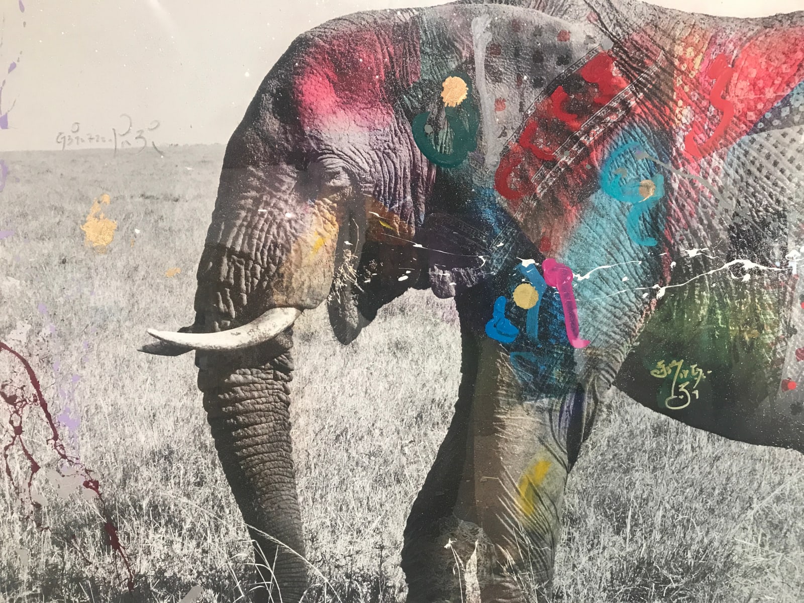 Arno Elias, Tembo 4 - 2/9