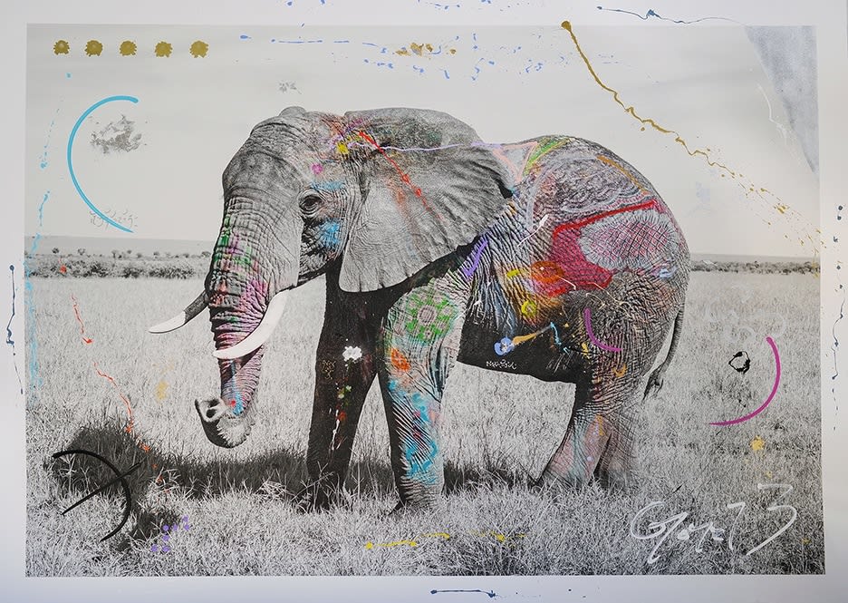 Arno Elias, Tembo 7 - 4/6, 2015