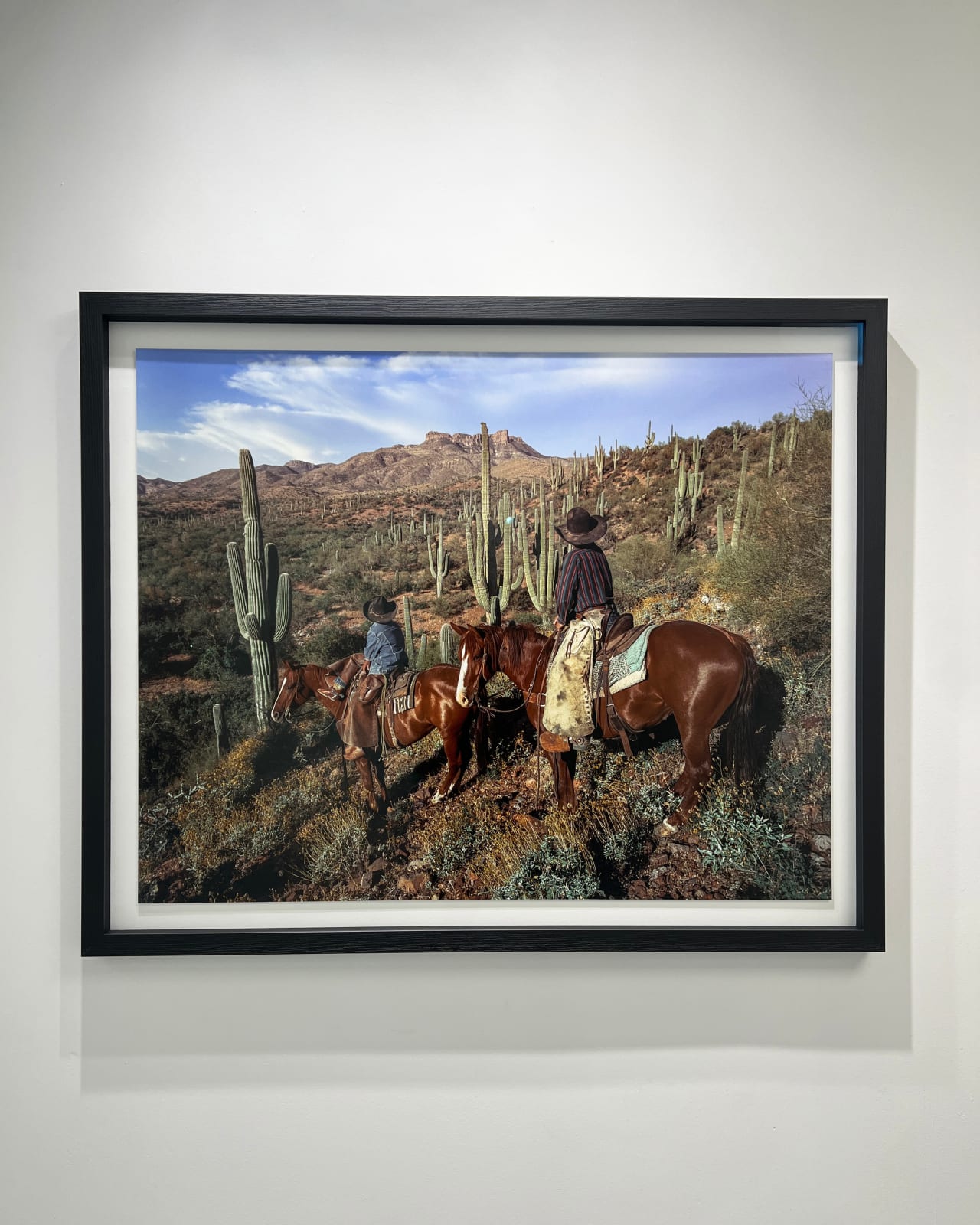 Beau Simmons, Sonoran Glow , 2023