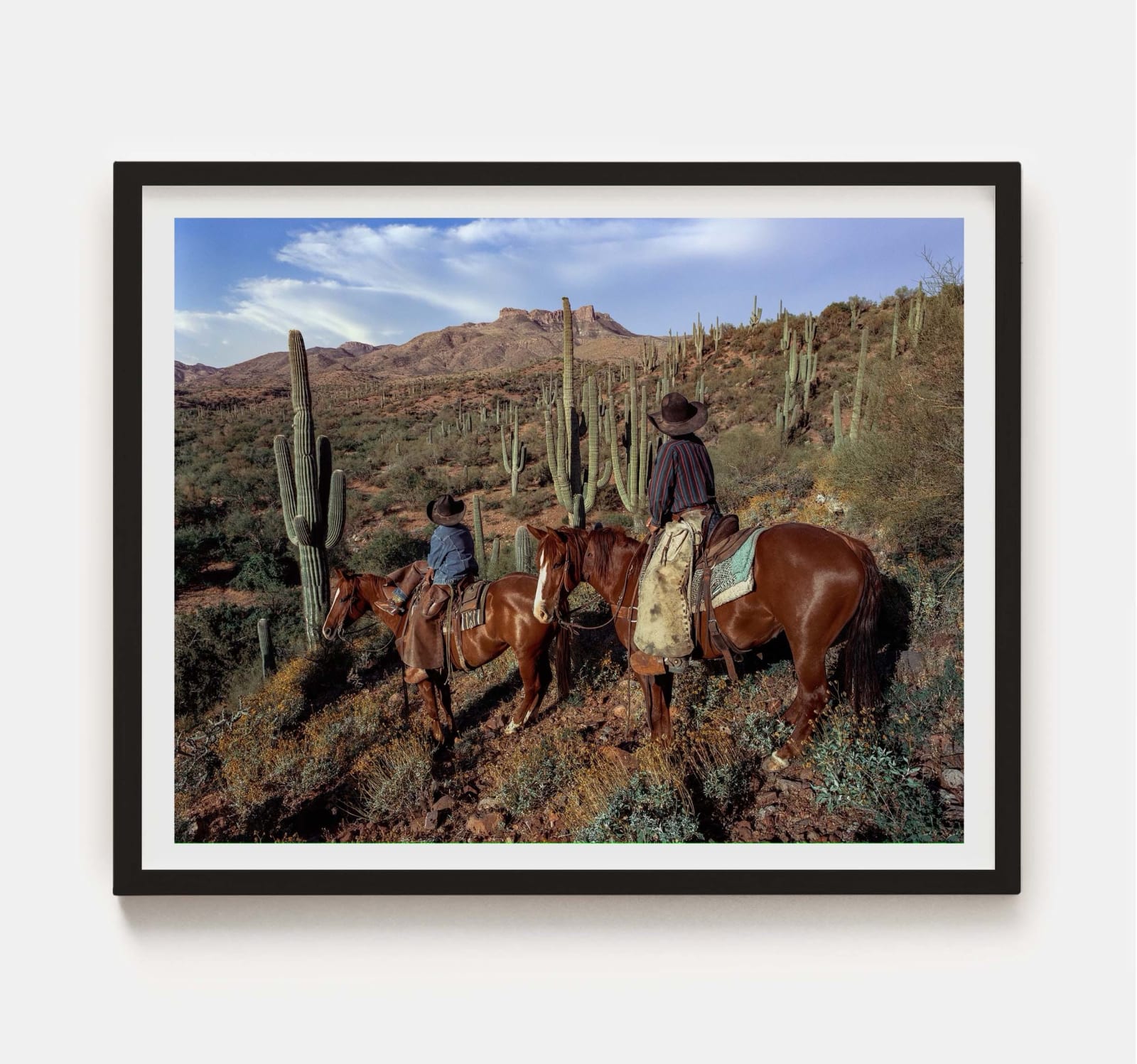 Beau Simmons, Sonoran Glow , 2023