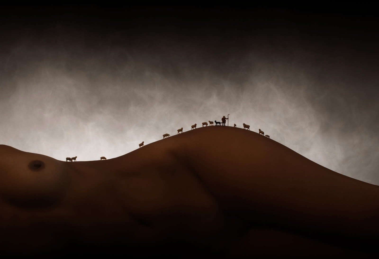 J. Leo, Les Moutons de Valou, 2017