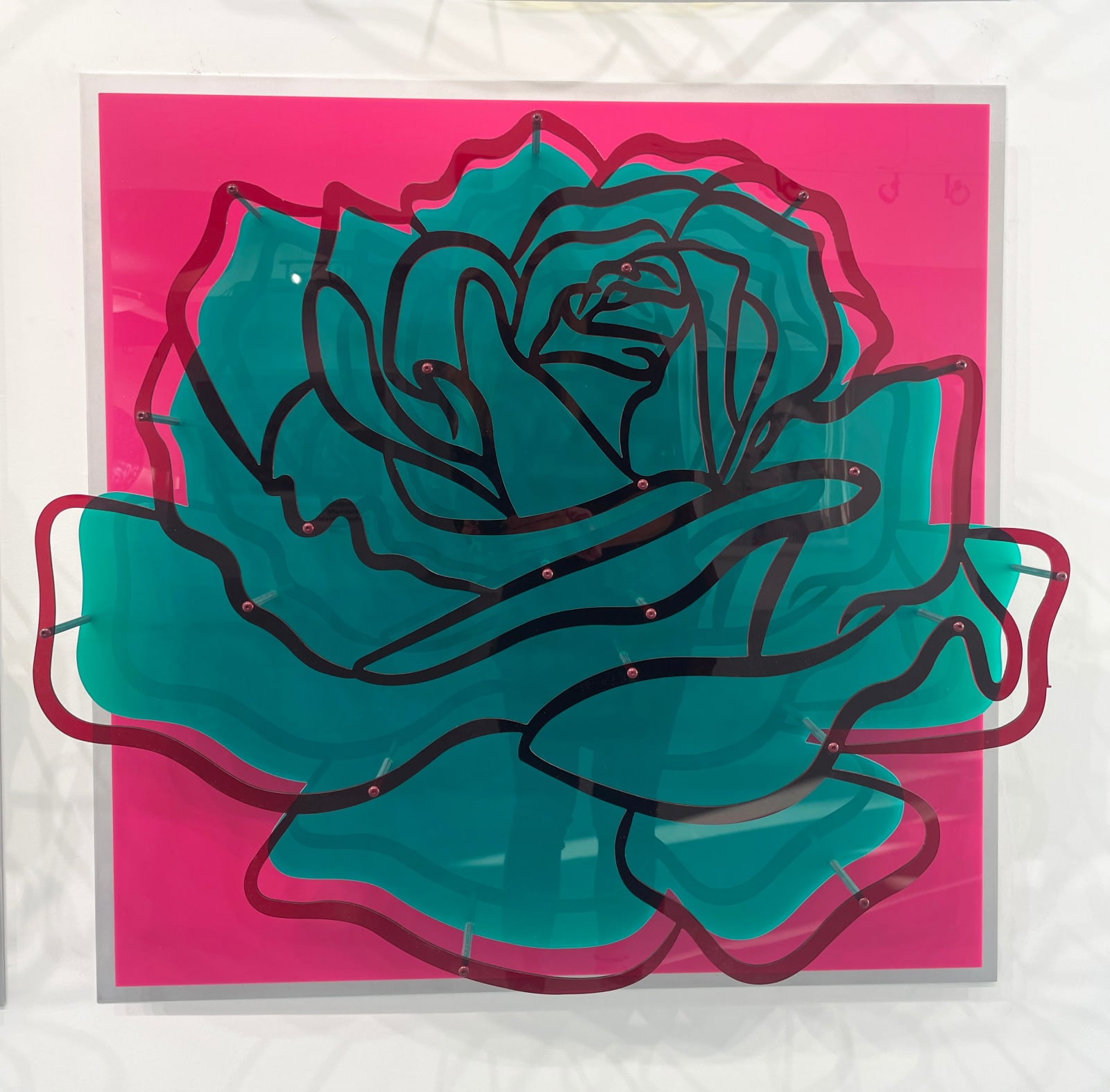 Michael Kalish, Rose - Burgundy on Pink 1/35, 2020