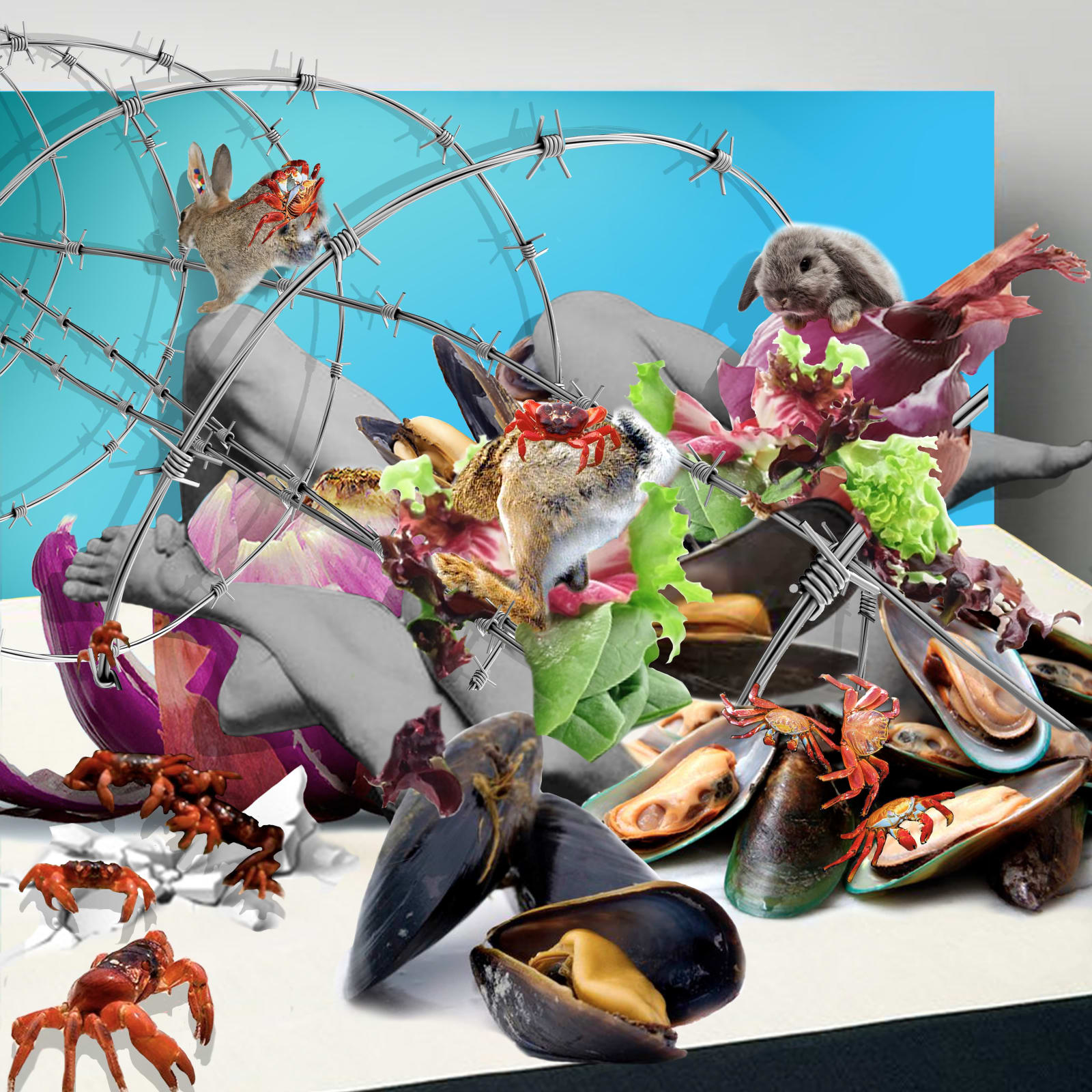 Sofia Maria Paz, Muzzled