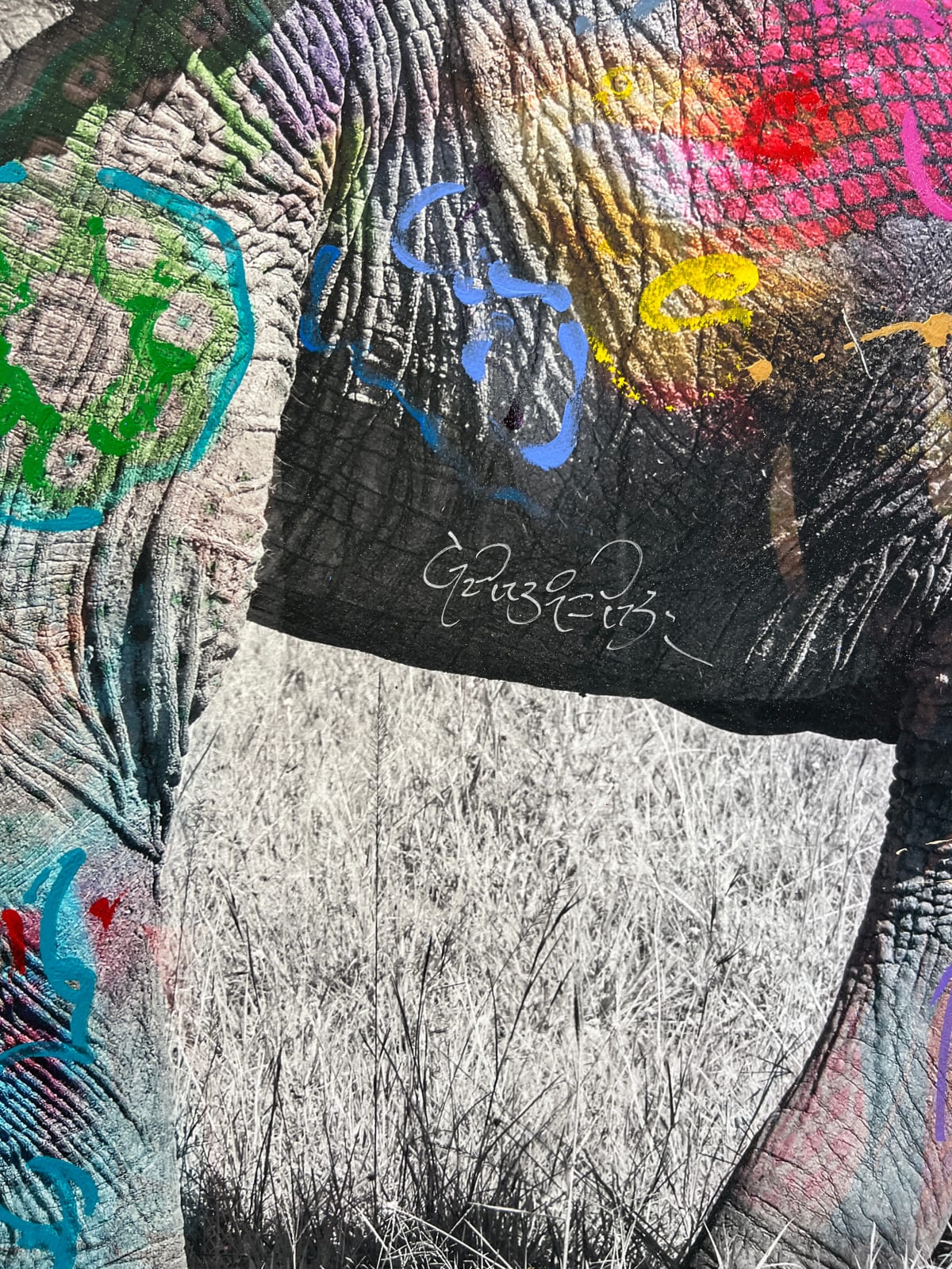Arno Elias, Tembo 7 - 4/6, 2015