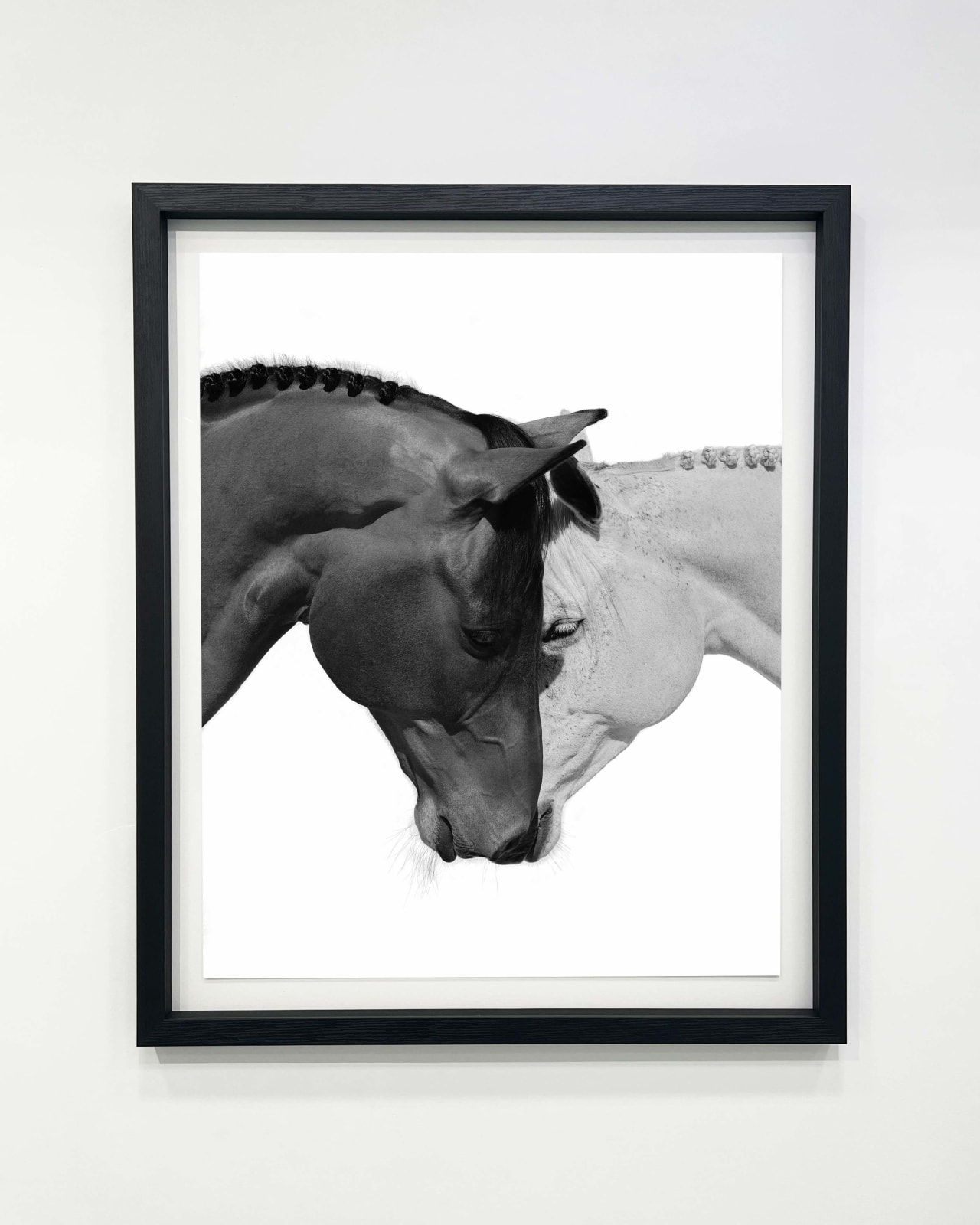 Beau Simmons, Together As One, 2023