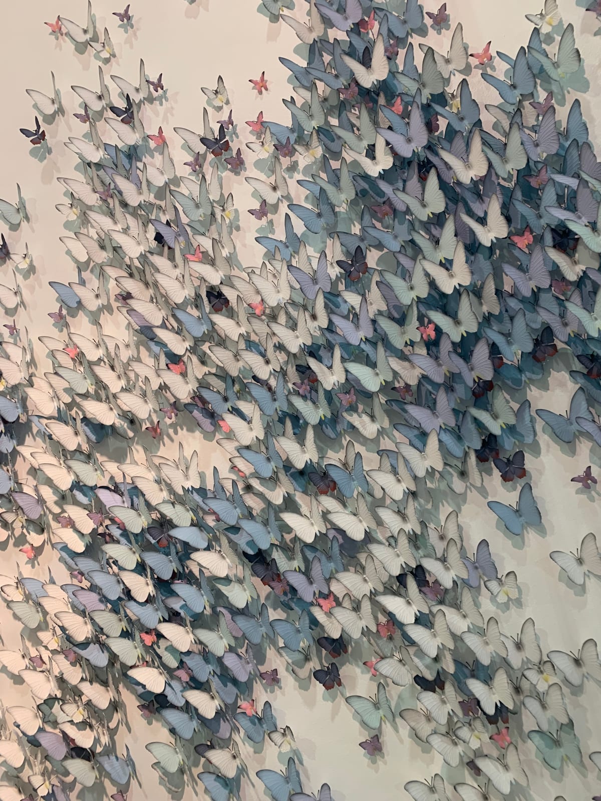 Phil Luangrath and Favio Landeira, Rencontre No. 3, 2023