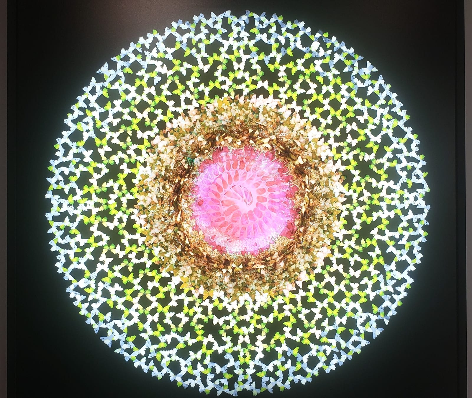 Annalù, Dreamcatcher LED Light Print Green Red 110cm