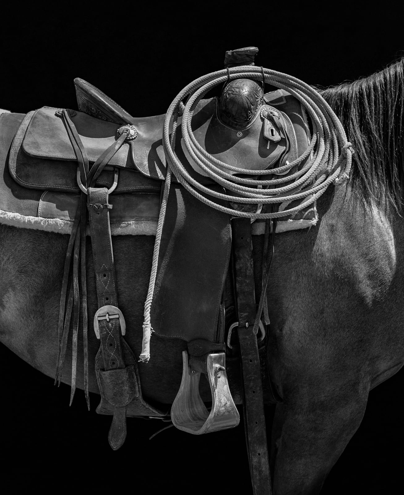 Beau Simmons, Leather & Steel, 2023
