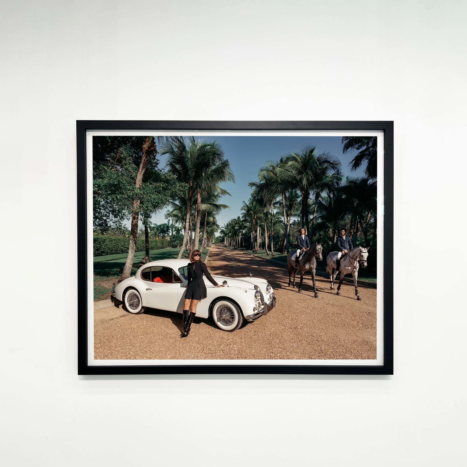 Beau Simmons, Life in Wellington , 2024