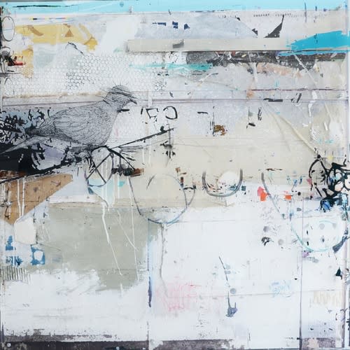 Gregory Watin, Tourterelle