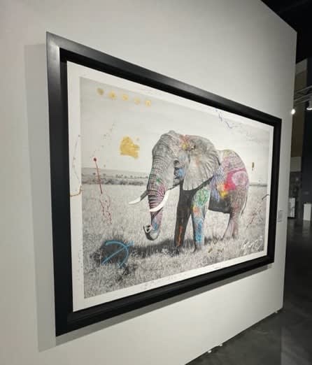 Arno Elias, Tembo 7 - 4/6, 2015
