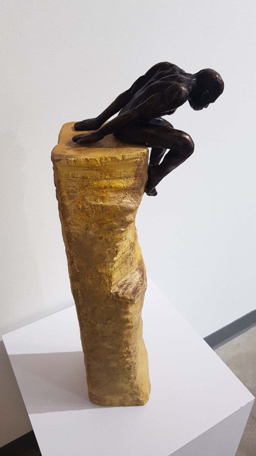 Idan Zareski, El Salto, 2008