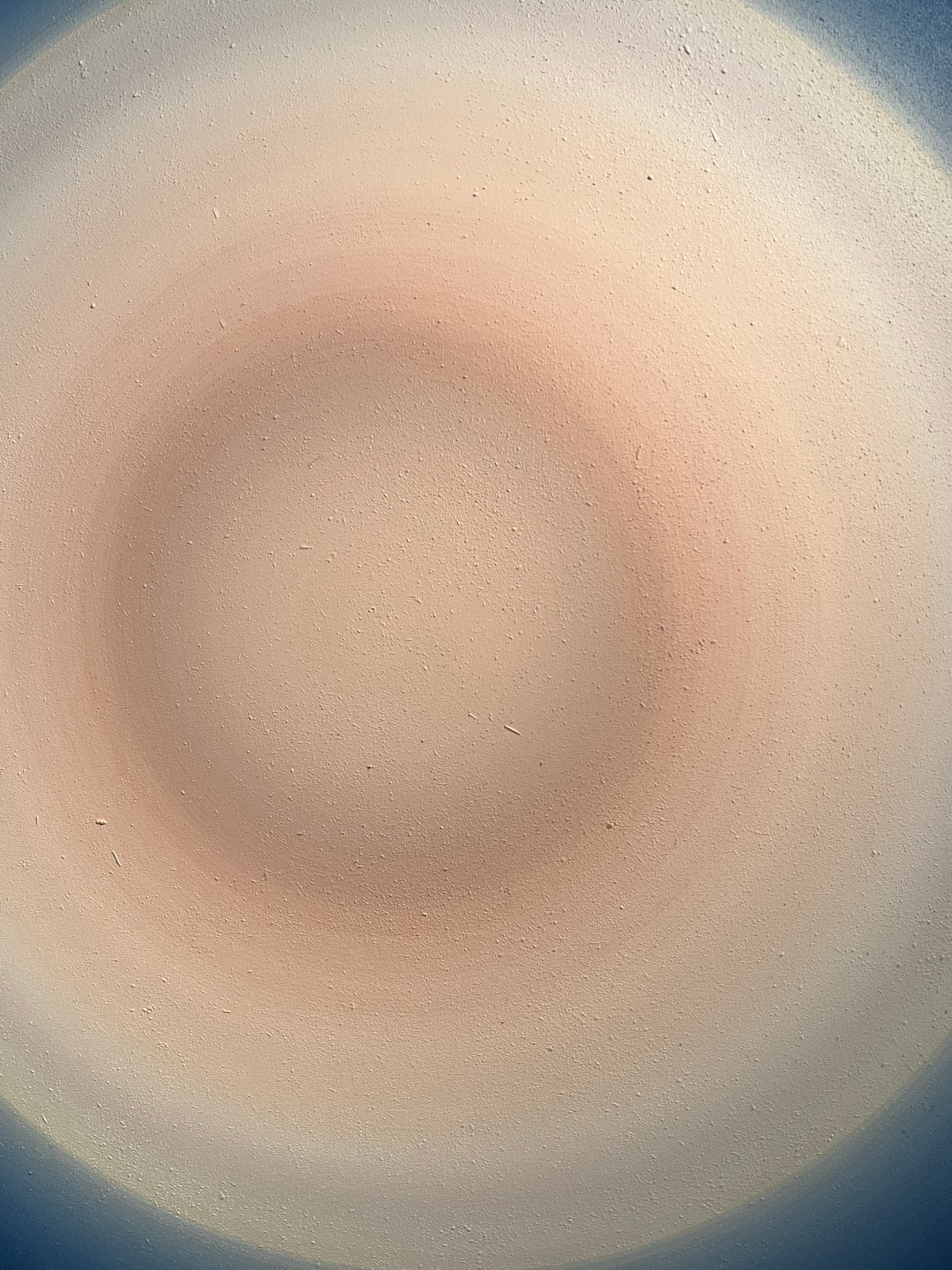 Lisa Bartleson, Lunar Blue