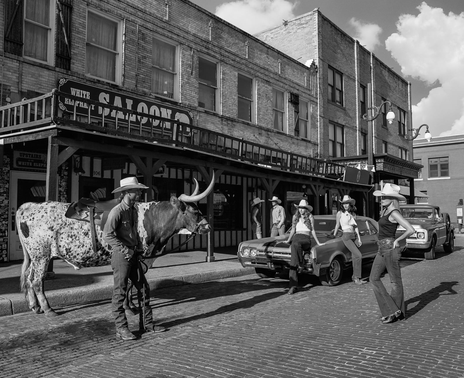 Beau Simmons, The White Elephant Saloon , 2023