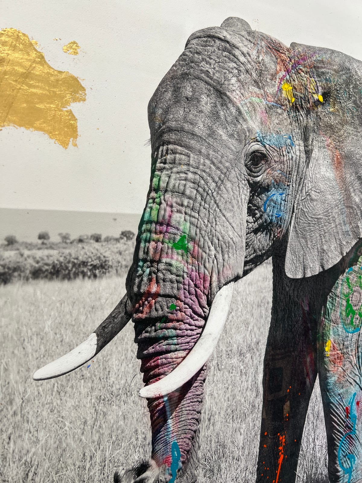 Arno Elias, Tembo 7 - 4/6, 2015
