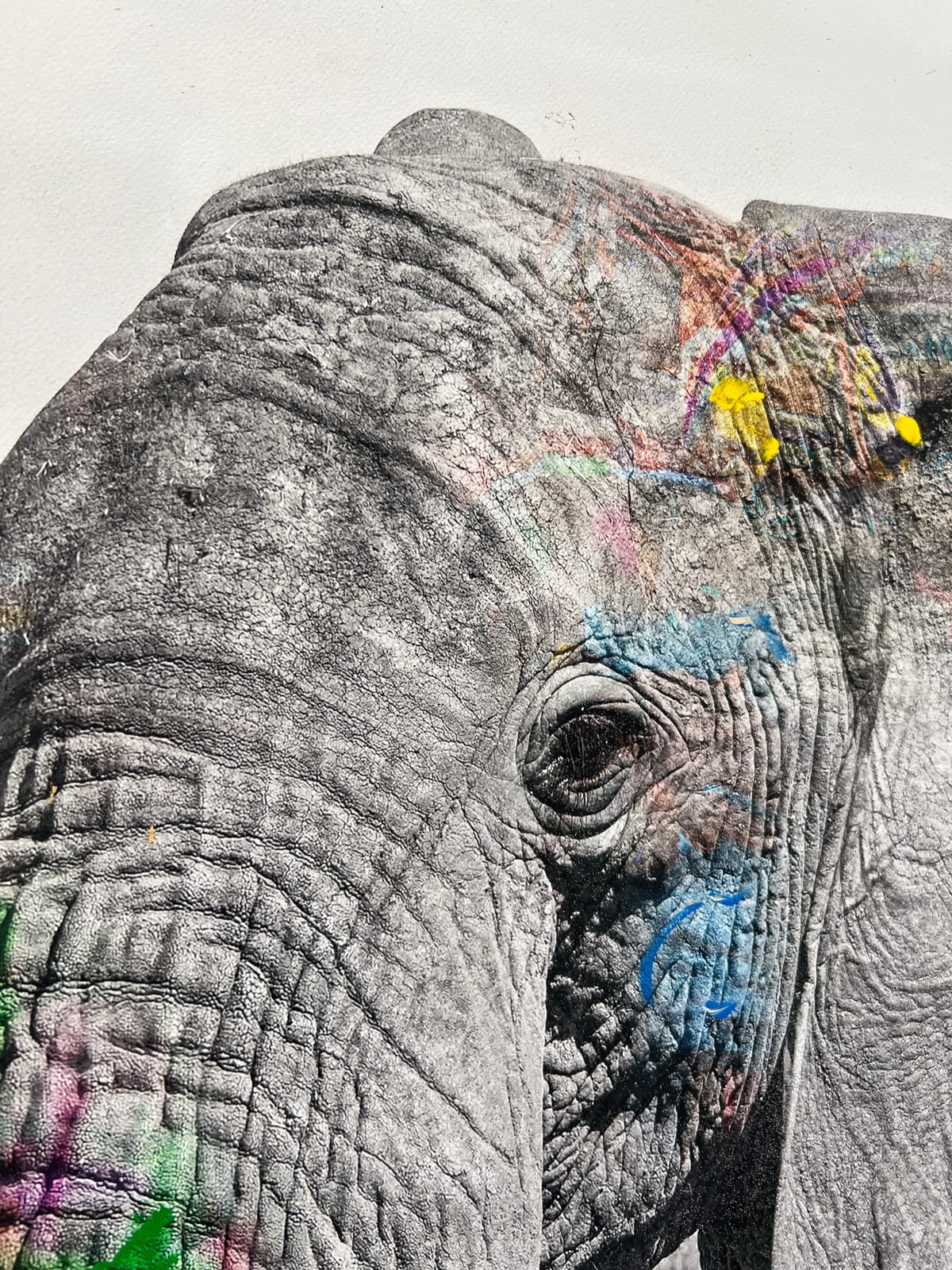 Arno Elias, Tembo 7 - 4/6, 2015
