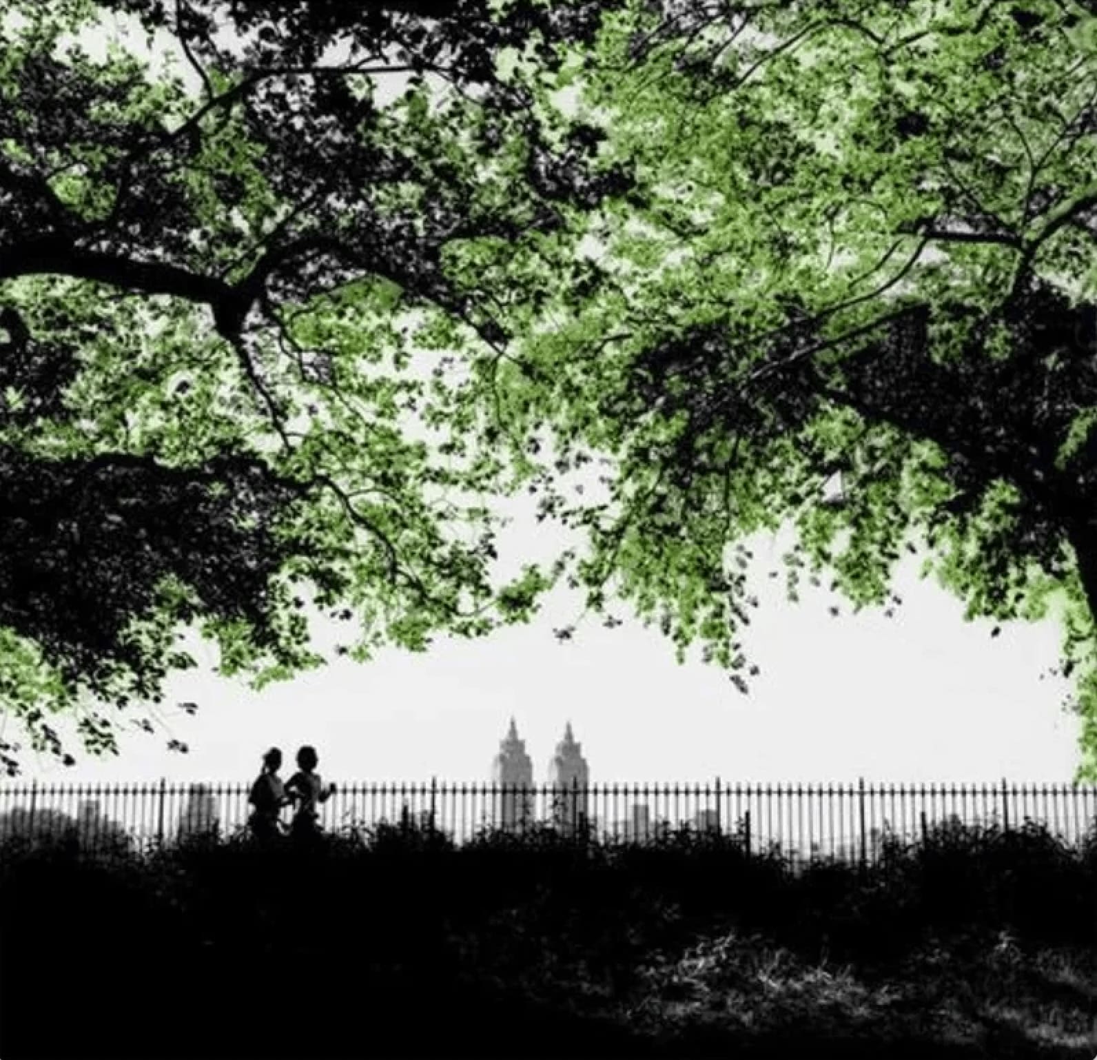 Anne Valverde, Central Park Joggers 10/12