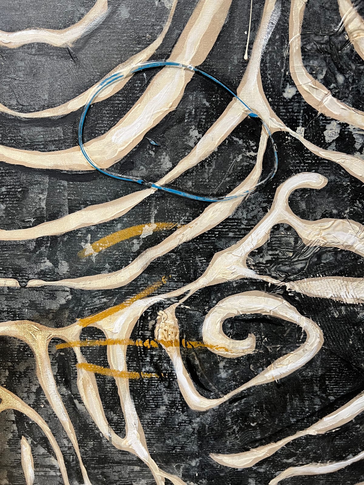 Paul Ecke, Zeke Series - Rose