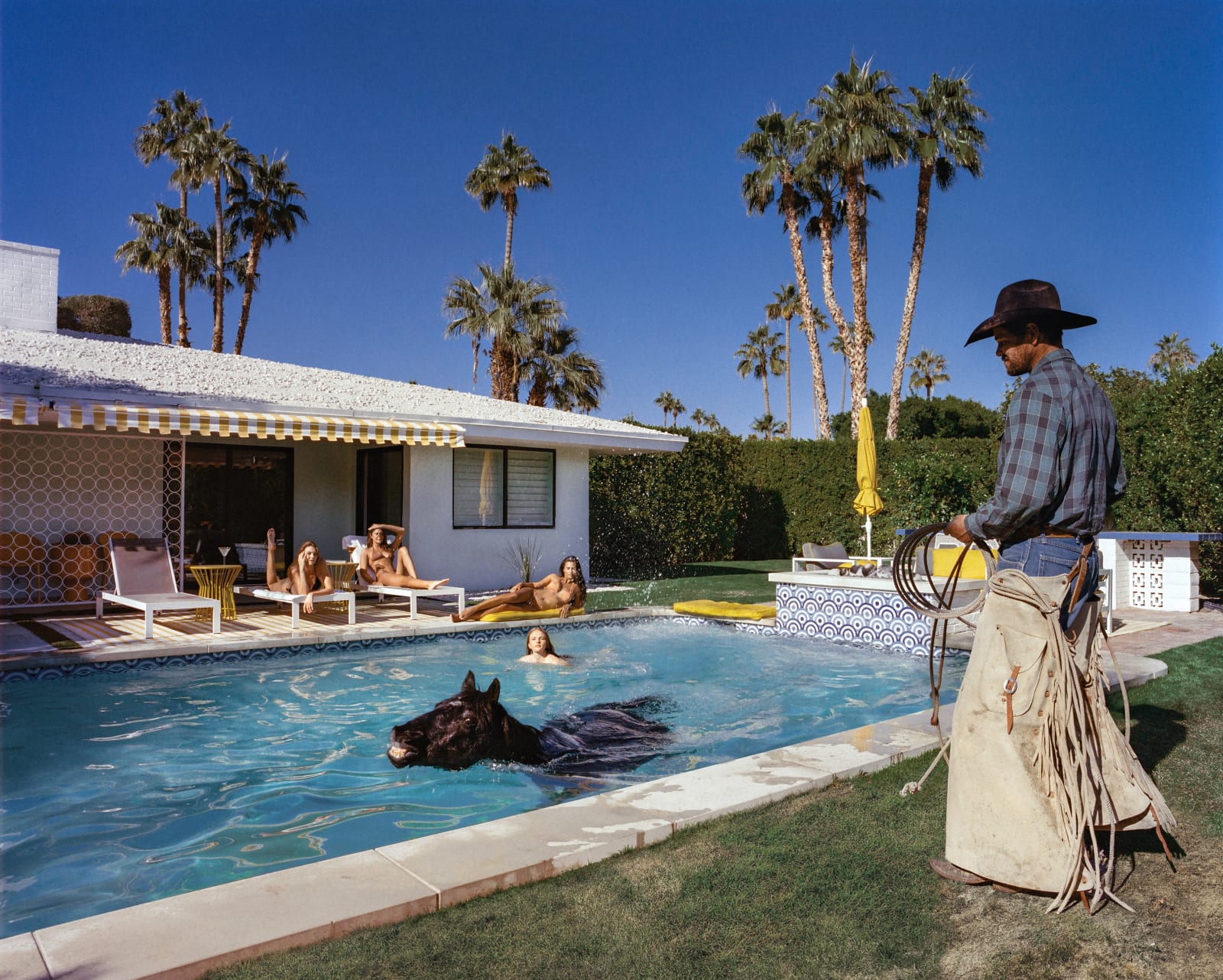 Beau Simmons, Playful In Paradise, 2024