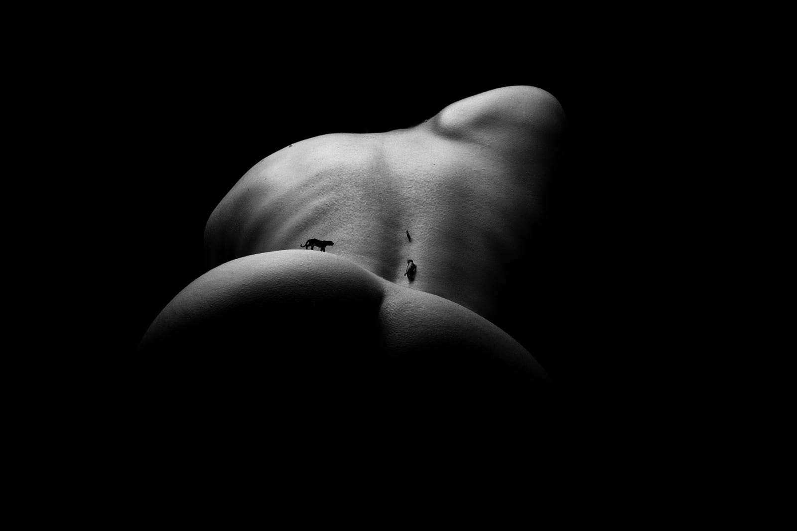 J. Leo, Tigresses en Chasse (L) - Sample, 2017