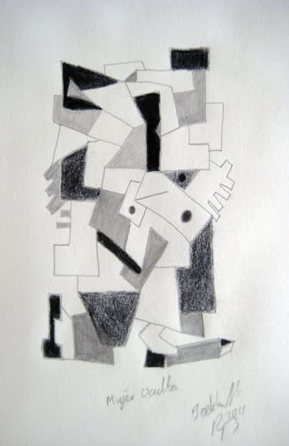 Johannes Boekhoudt, Mujer Oculta, 2011